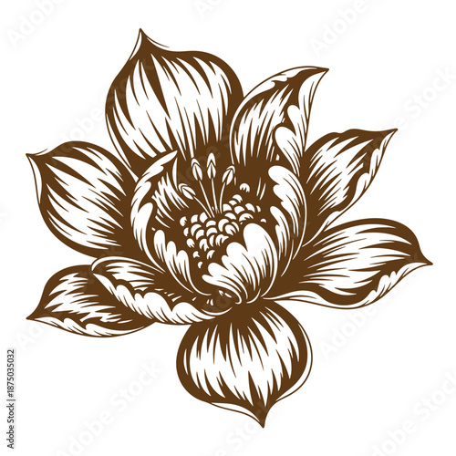 Vintage Brown and white illustration of a large flower with many petals and leaves on plain background