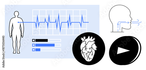 Medical diagnostics, healthcare technology, wellness assessment, heart health, cardiogram analysis, respiration education. Human silhouette with heart chart, nose breathing play symbol. Medical
