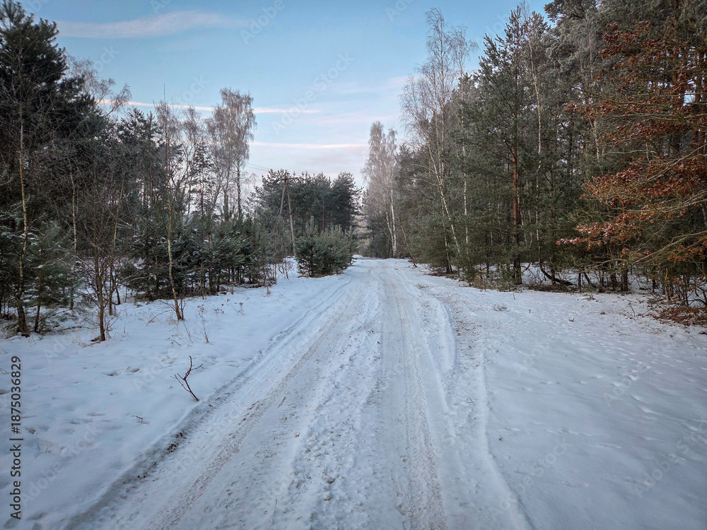 Obraz premium Winter and snow on the small Grabia River, Poland.