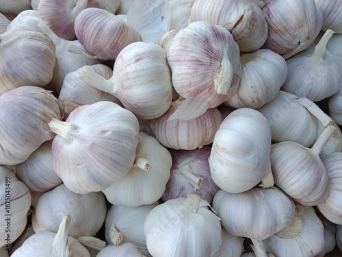 Garlic pile displayed in order on vendor's. Allium sativum pile displayed in order on vendor's.Garlic white pattern background 