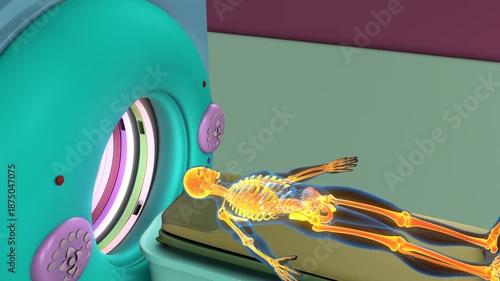CT scan with body parts with its parts. 3d render