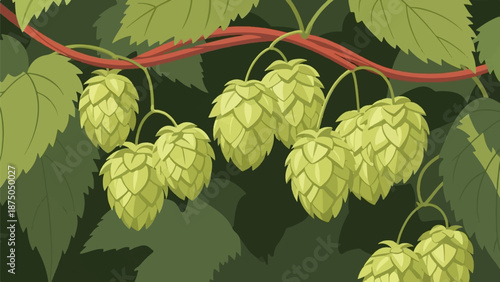 A vector illustration of fresh green hop cones hanging from a red-tinged vine with large leaves