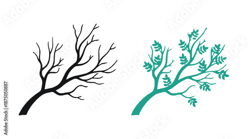 A bare tree branch and a leafy tree branch on a white background