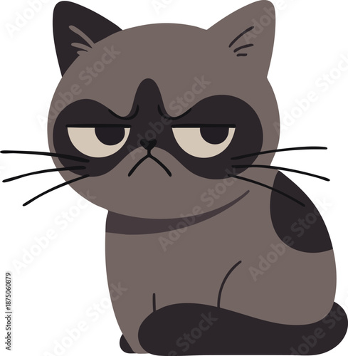 Grumpy gray cat portrait