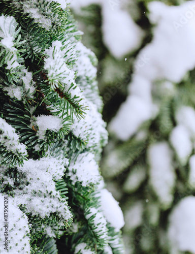 winter image background