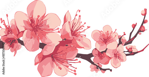 Decorative cherry blossom flower branch illustration