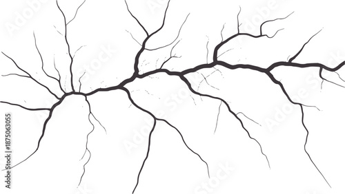 Contrast black and branching crack pattern abstract texture
