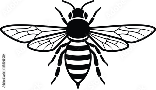 Black and white honey bee insect vector illustration icon with open wings isolated on white background for nature logo branding and tattoo design.