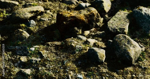 Wallpaper Mural Under bright sunlight, rugged stones and boulders scatter across an uneven landscape. Lush green moss peeks between rock crevices, creating a vibrant contrast to the earthy tones. Torontodigital.ca