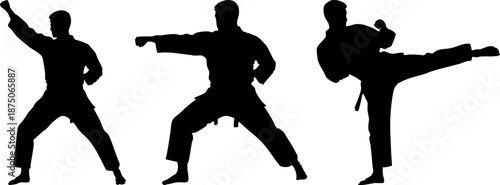 Martial Arts Man Silhouette Set of Fighting Poses