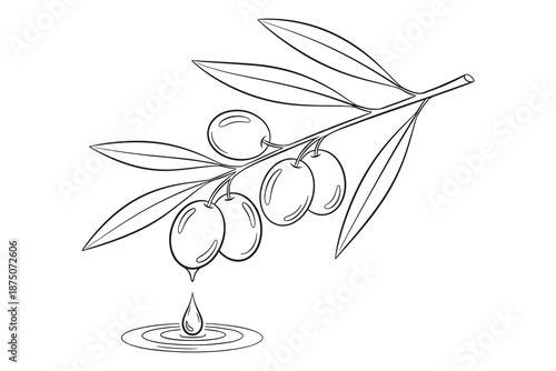Olive branch with leaves and dripping oil isolated on white background