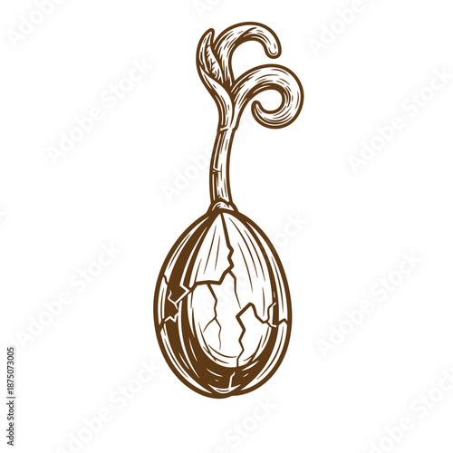 Drawing Vintage Brown illustration of a cracked onion with sprouting green top  isolated on white background