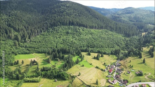 landscape with trees