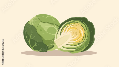 An illustrative image showcasing a whole green cabbage and a halved one with its inner yellow core