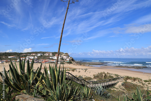 Agaves up close on the beach of Monte Clerigo, Algarve, Portugal