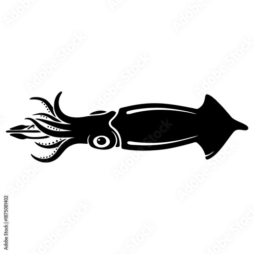 Squid illustration on a white background showcasing its anatomy and tentacles