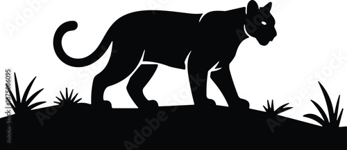 Black silhouette of a wild panther walking through grass on a hill for jungle wildlife concepts, safari logos, and nature.