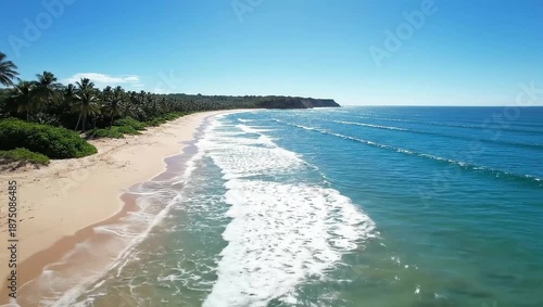 Tropical Beach Waves Crashing on Sandy Shore with Palm Trees