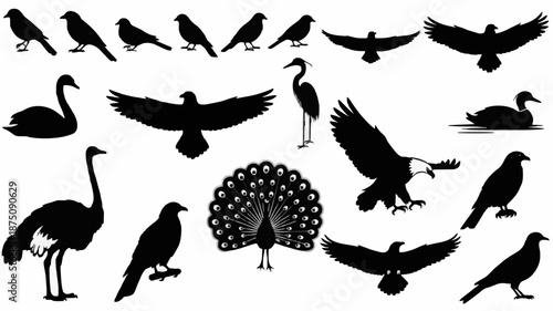 Collection of various black bird silhouettes on a white background, featuring different species in various poses and flying positions.