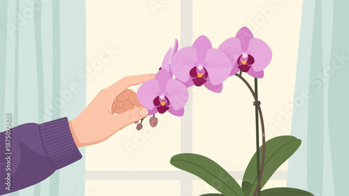 A person's hand, wearing a purple sleeve, gently touches vibrant pink orchid blossoms by a sunny window
