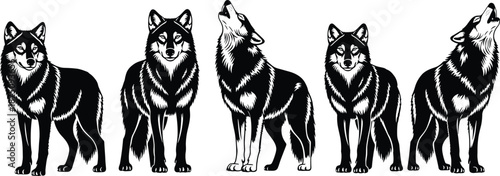 Wolf illustrations, black and white vector, howling and standing wolves, animal silhouettes, fur detail, wild nature design, minimal graphic art