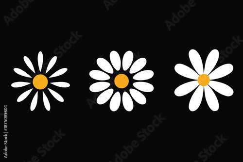 daisy flower icon set vector with white petals and yellow center on black background symbolizing nature, spring, and floral design