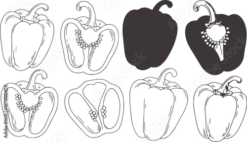 Hand drawn bell peppers whole and halved in outline and silhouette capsicum vegetable