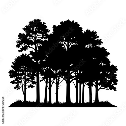 Silhouette of a dense forest with various types of trees isolated on white background, Vector, illustration