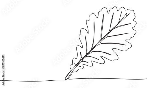 Continuous Line Oak Leaf Drawing