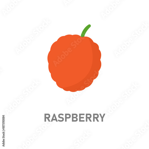 Raspberry fruit illustration. Bright red berry icon isolated on white background for food and dessert designs