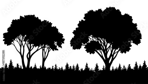 Silhouette of two lush trees with dense foliage against a white background isolated on white background, Vector, illustration