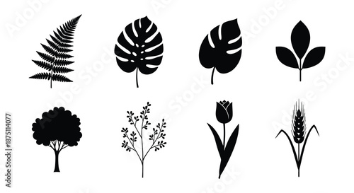Collection of various plant silhouettes on white background