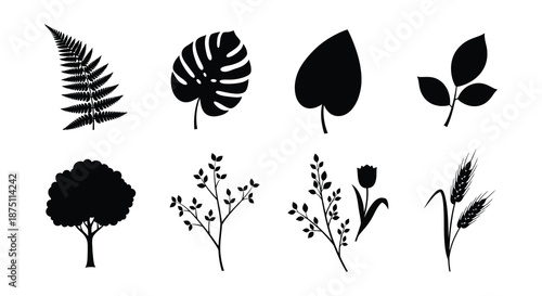 Collection of various plant silhouettes on white background