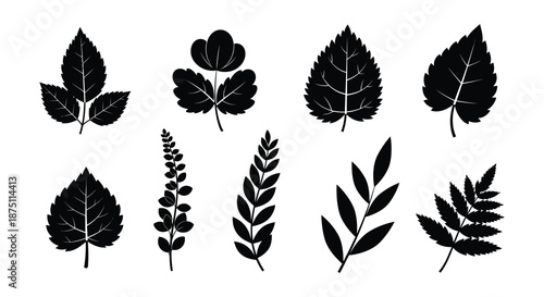 A set of eight black floral silhouettes on a white background