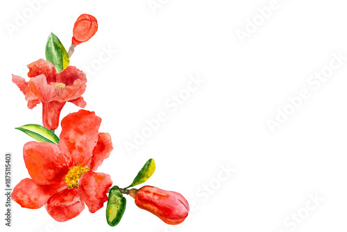 Watercolor frame with pomegranate and blooming pomegranate flowers. Pomegranate leaves and flowers. Hand-drawn watercolor illustration of a realistic, juicy, pomegranate-red fruit