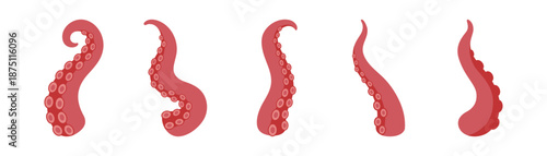 Squid tentacles with suction cups. Set of octopus arms for nautical, fantasy monster and underwater illustration themes