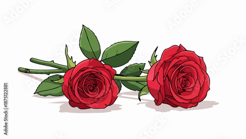 Two vibrant red roses with green leaves lie side by side on a white background