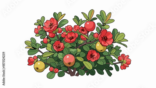 Vivid red flowers and yellow fruit adorn a lush green bush