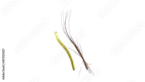 Copper wire scrap and electrical cable core isolated on white background.