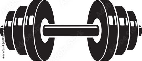 Large dumbbell weight fitness