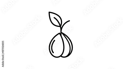Simple line drawing of an onion with a leaf on a white background
