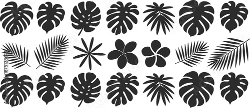 Tropical leaves silhouette set, monstera and palm leaf collection, botanical jungle icons, black and white vector illustration