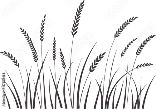 Minimalist black wheat stalks agriculture