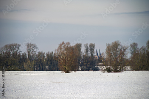 Bislicher Insel Januar 2026
