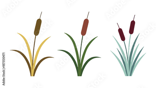 An illustration of cattail plants in various colors on a white background