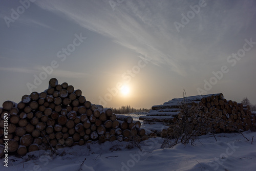 Winter Sunset Log Piles