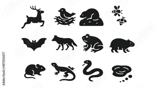 A collection of black animal silhouettes on a white background