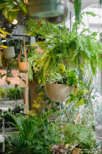 多種多様な観葉植物に囲まれたショップの風景