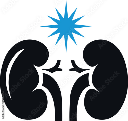 Black kidneys with blue starburst symbol on white background urology medical