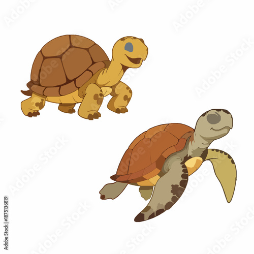 Whimsical cartoon tortoise and sea turtle vector illustration isolated on white